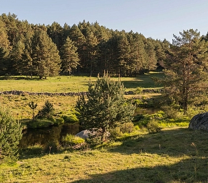 Sierra de Gredos