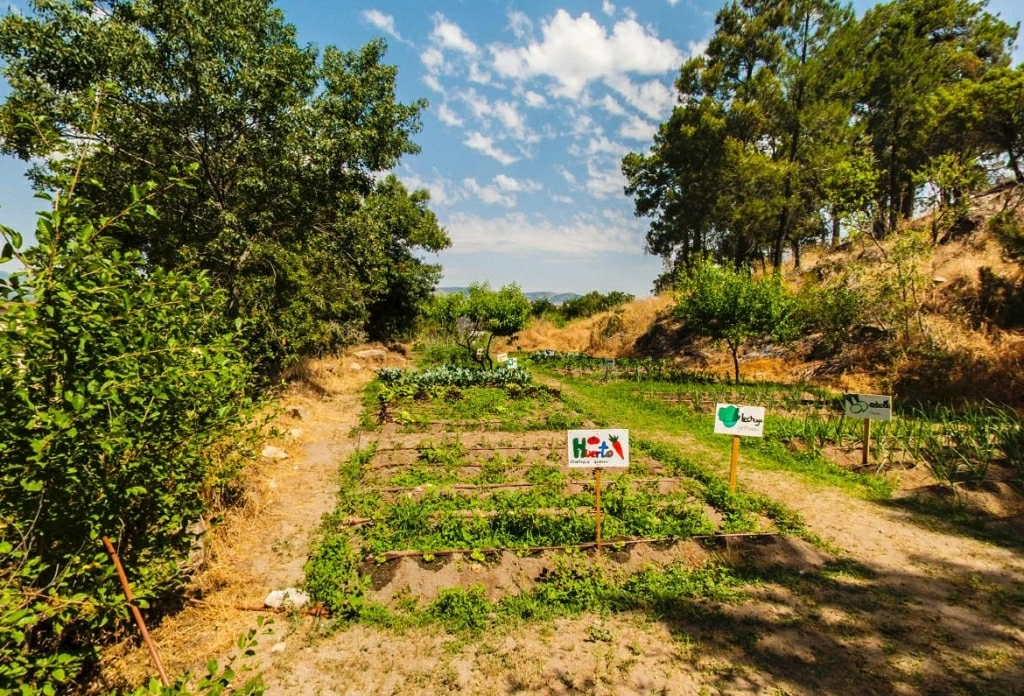 Granja <br> Escuela