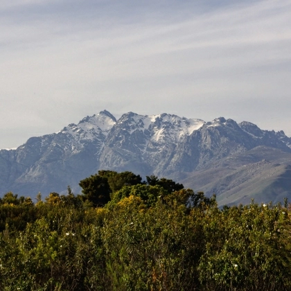 Dónde está <br> Venero Claro