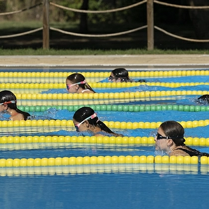 Actividades <br> destacadas